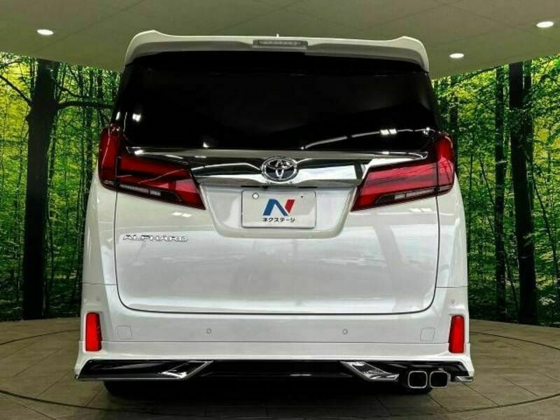 ALPHARD-19