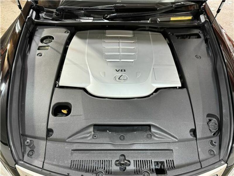 LS