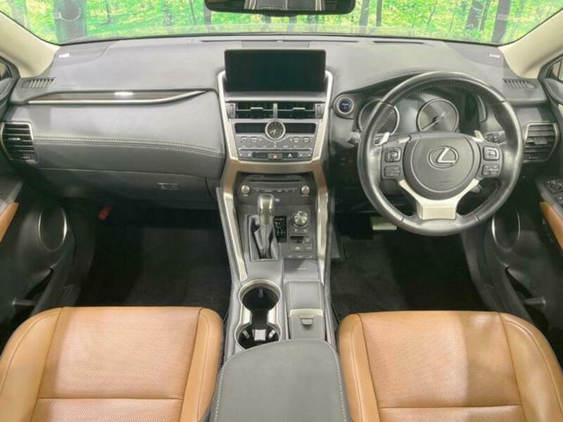 NX