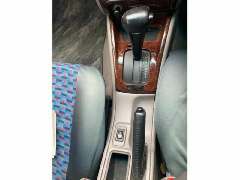 FORESTER-19