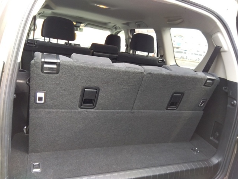 LAND CRUISER PRADO-50