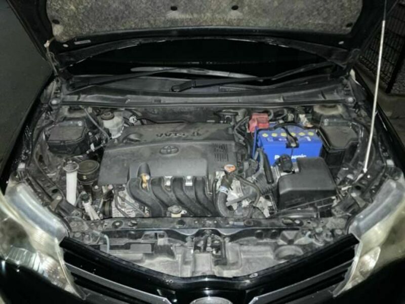 COROLLA FIELDER-16