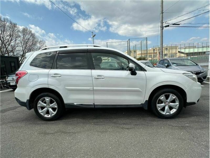 FORESTER