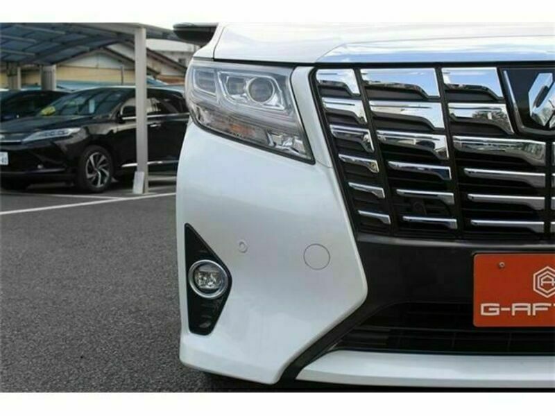 ALPHARD-10