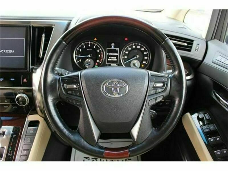 ALPHARD-16