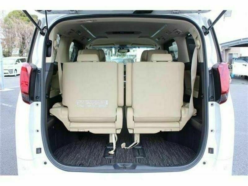 ALPHARD-17