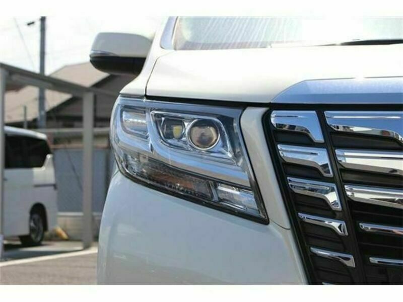 ALPHARD-10