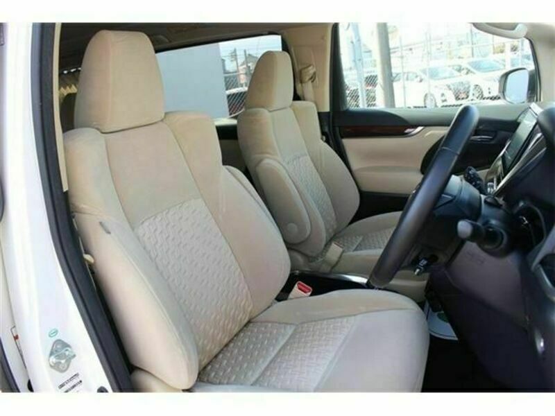 ALPHARD-13