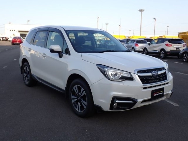 FORESTER