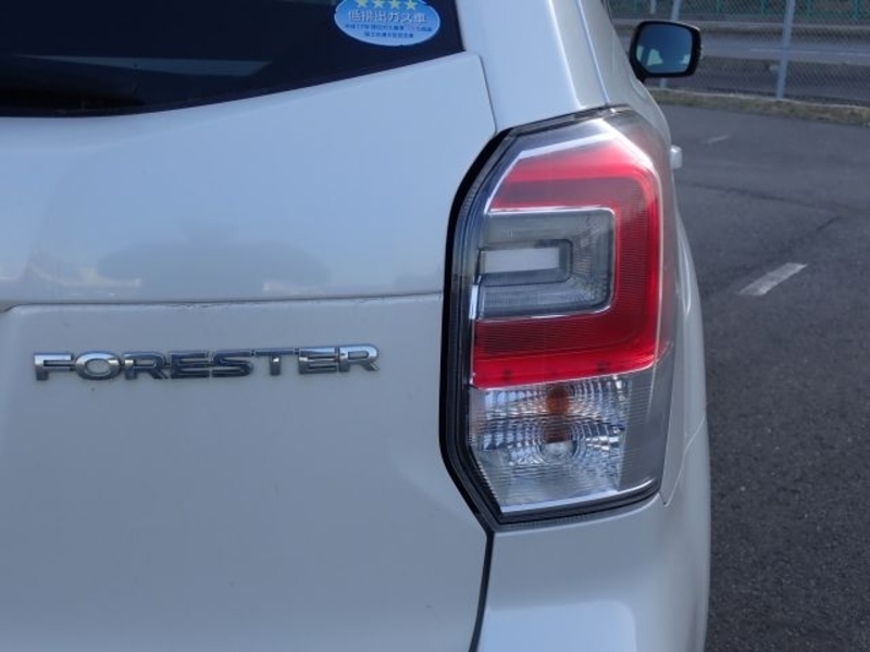 FORESTER