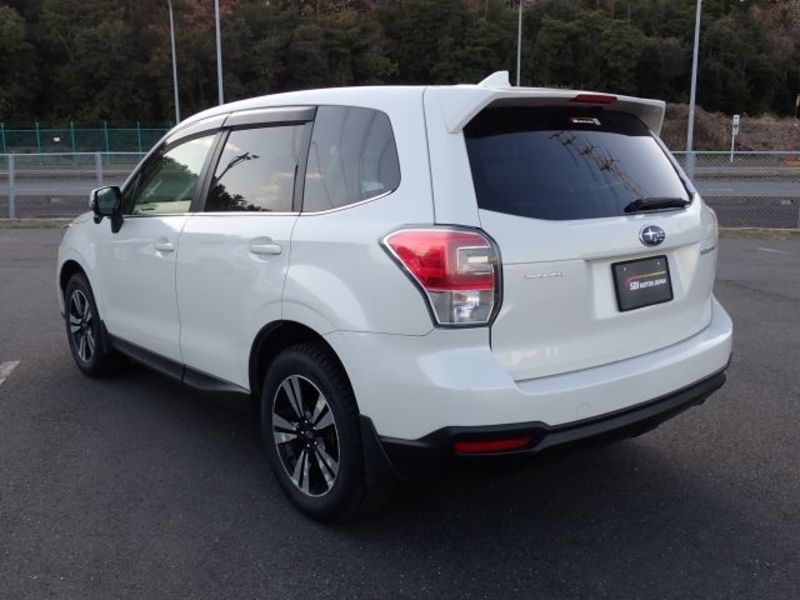 FORESTER