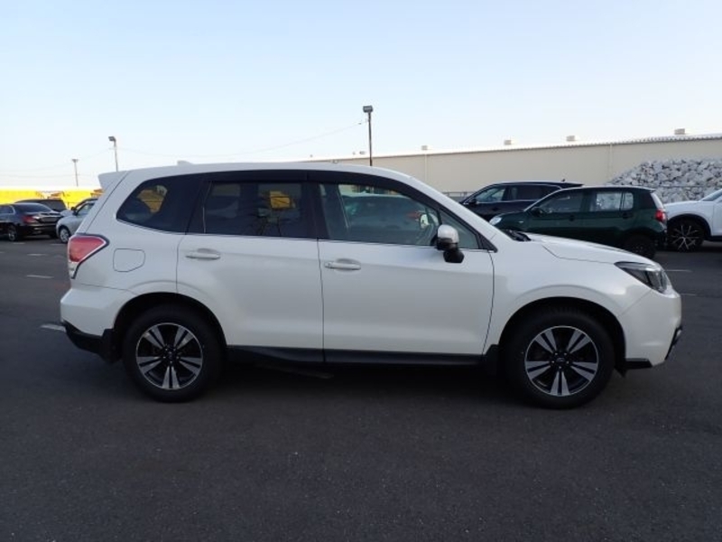 FORESTER