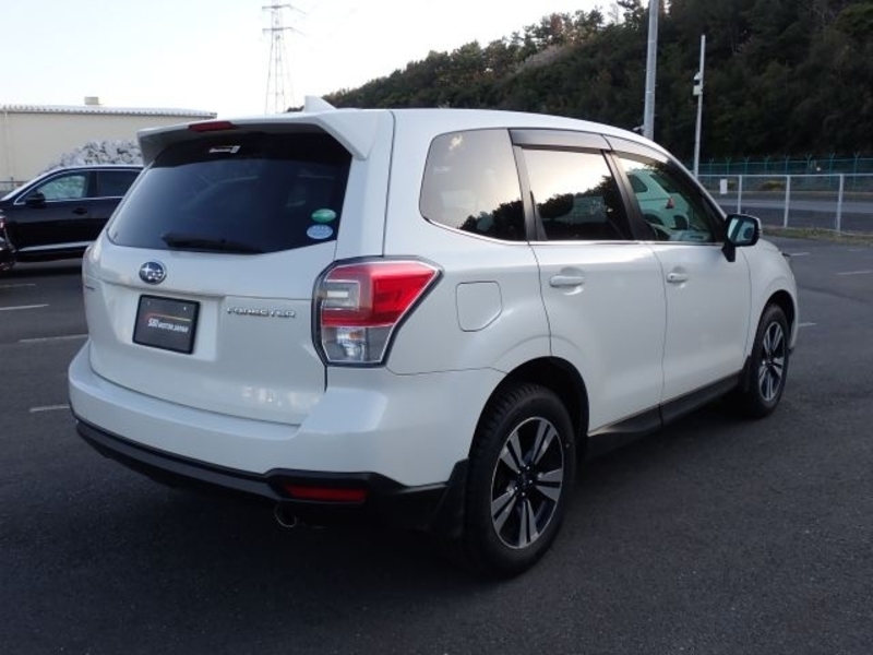 FORESTER