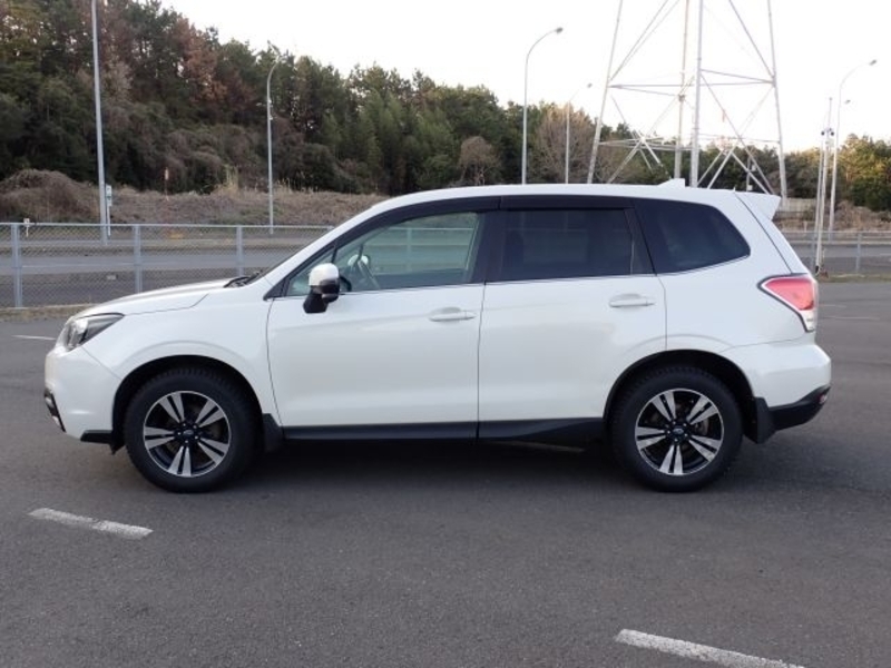 FORESTER