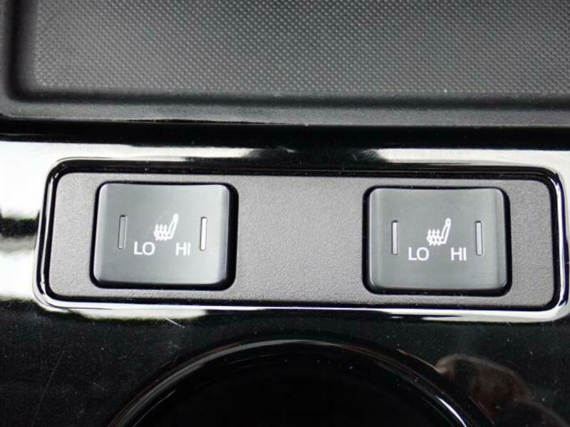 PRIUS-16