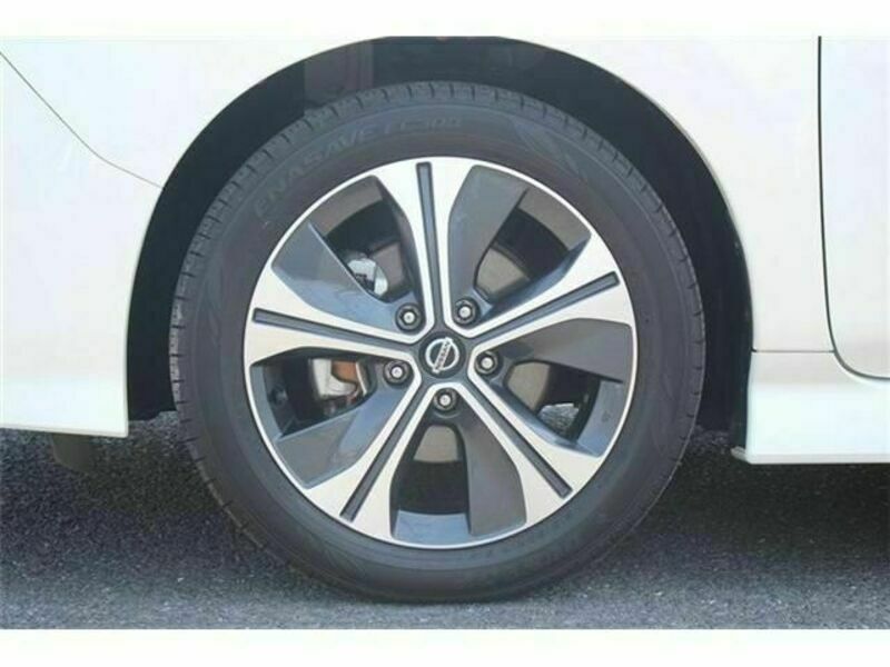 LEAF-12