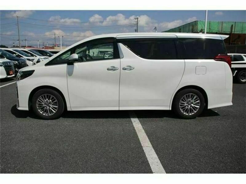 ALPHARD-8