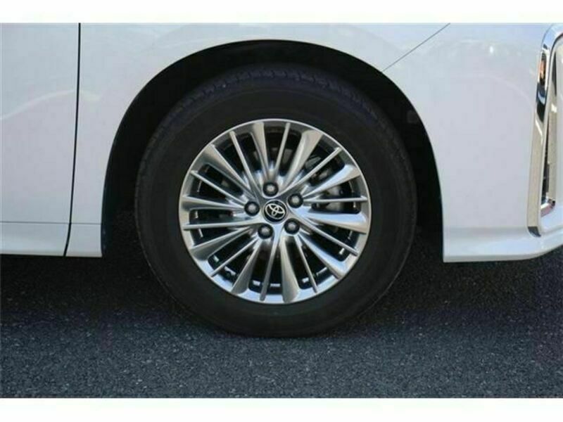 ALPHARD-10