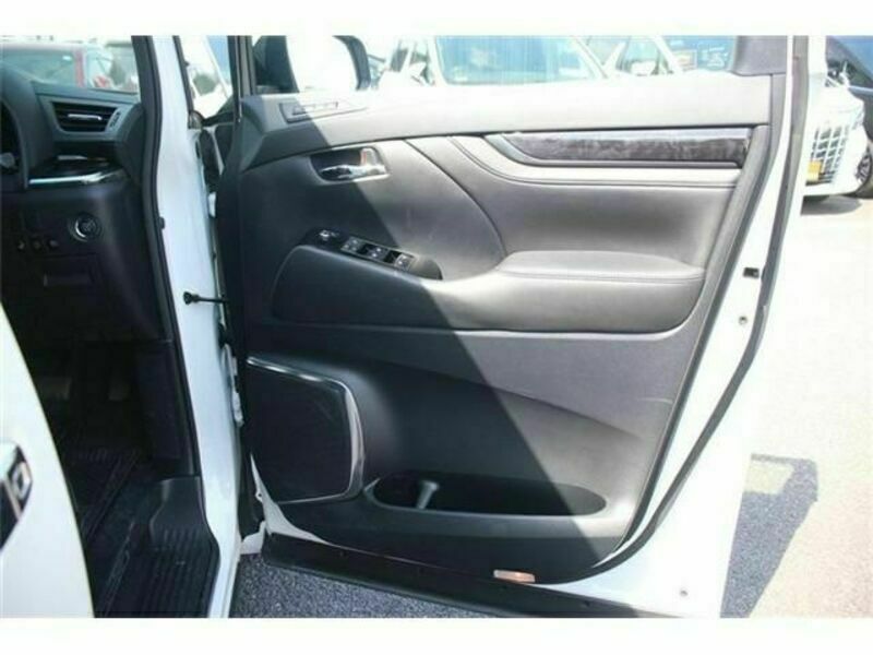 ALPHARD-13