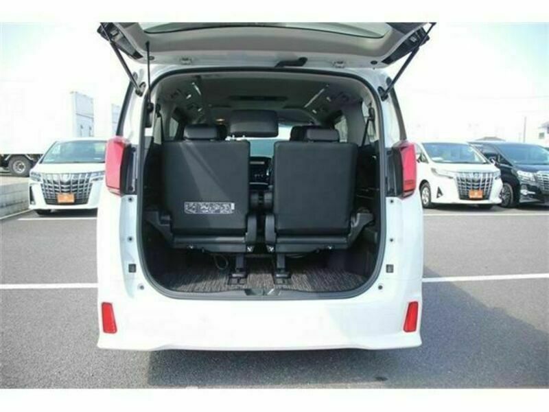 ALPHARD-17