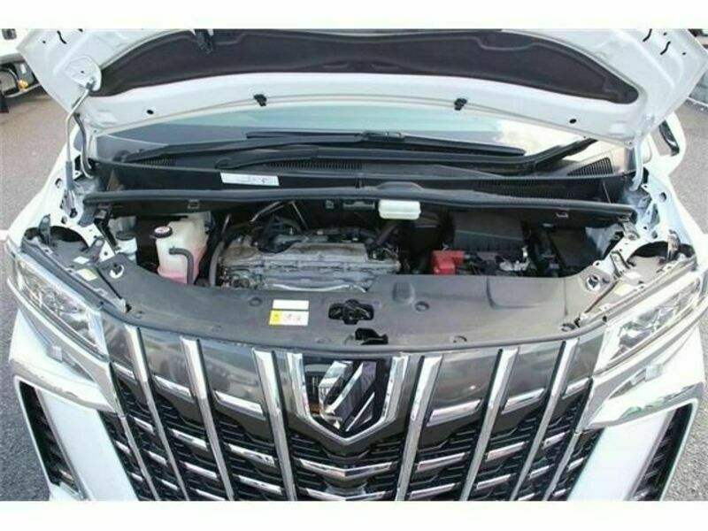 ALPHARD-18