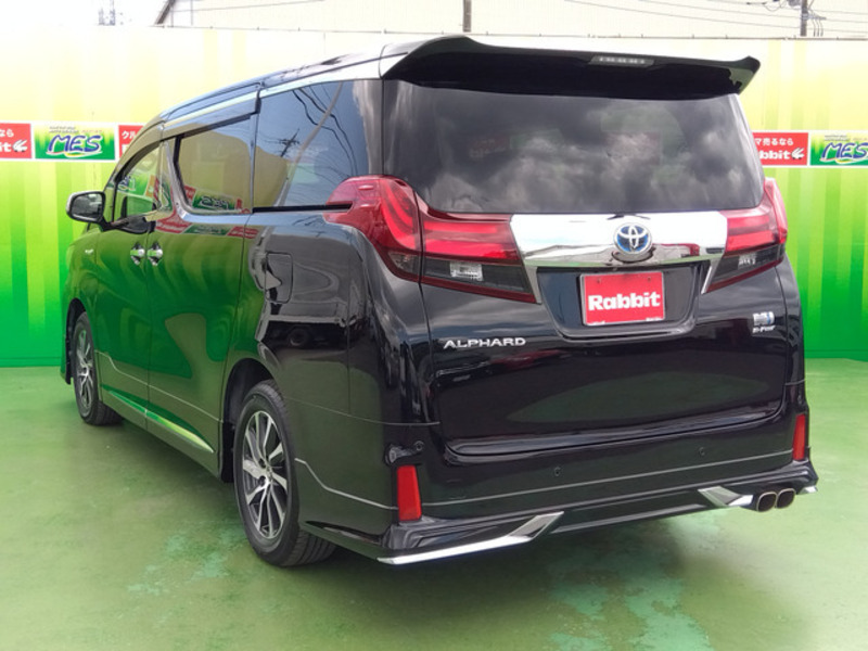 ALPHARD-6