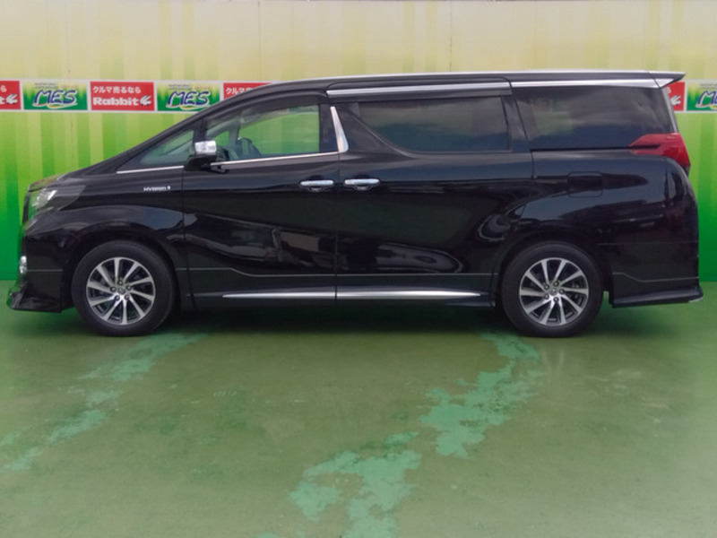ALPHARD-7