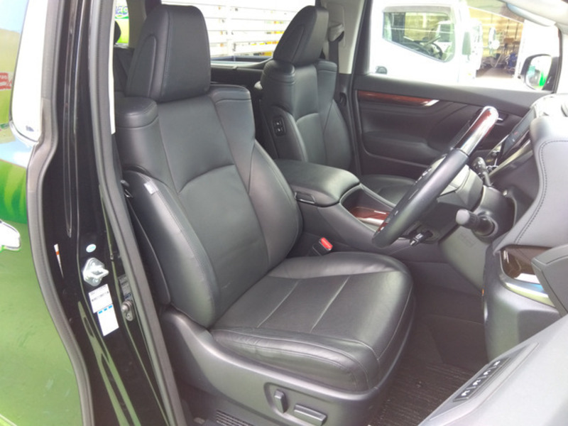 ALPHARD-11