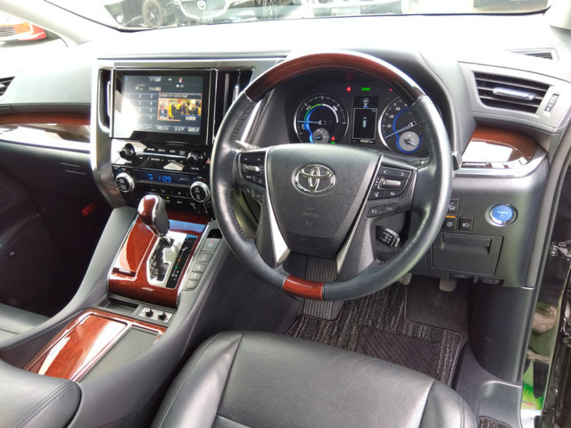 ALPHARD-13