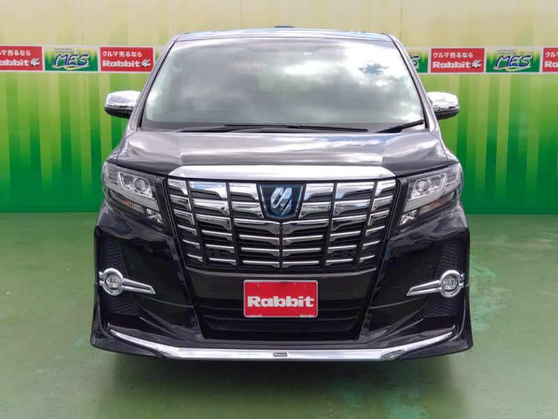 ALPHARD-1