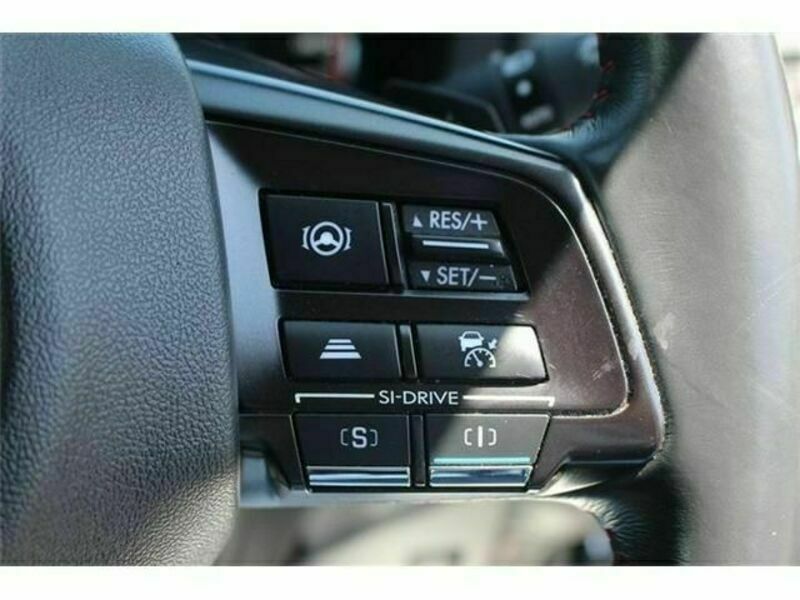 LEVORG-4