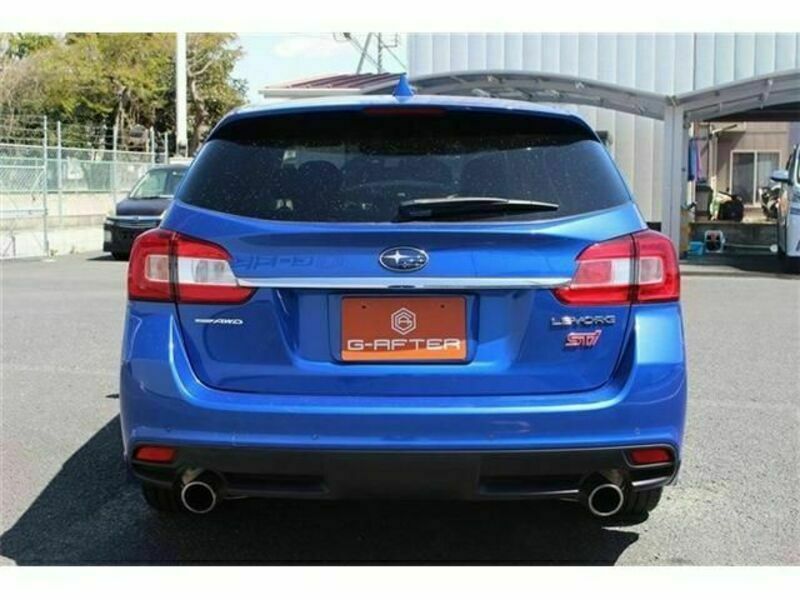 LEVORG-8