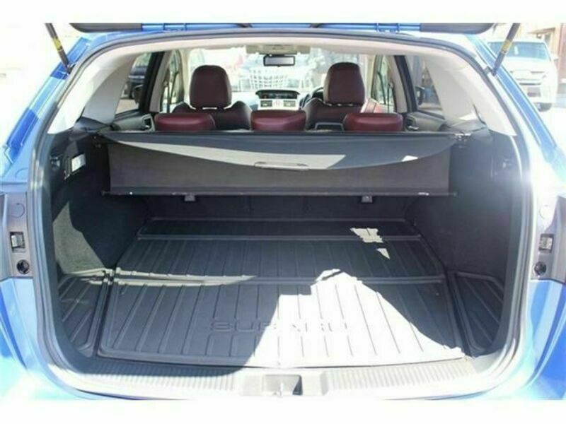 LEVORG-17