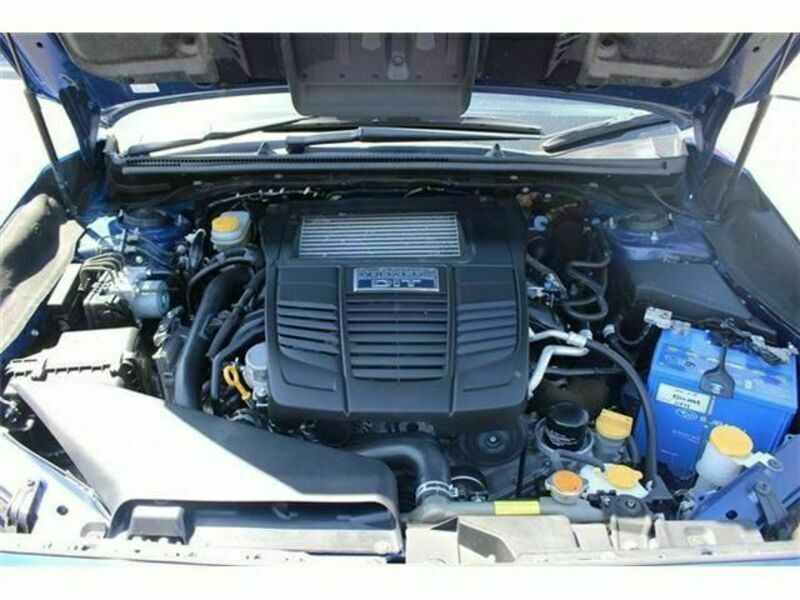 LEVORG-18