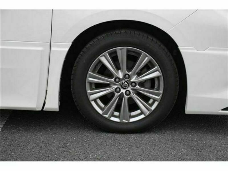 ALPHARD-10
