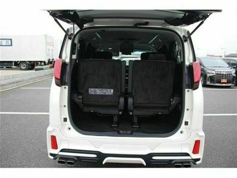 ALPHARD-17