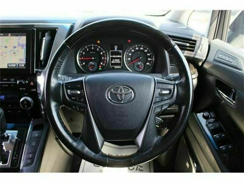 ALPHARD-16