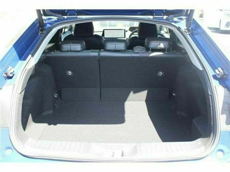 PRIUS-17