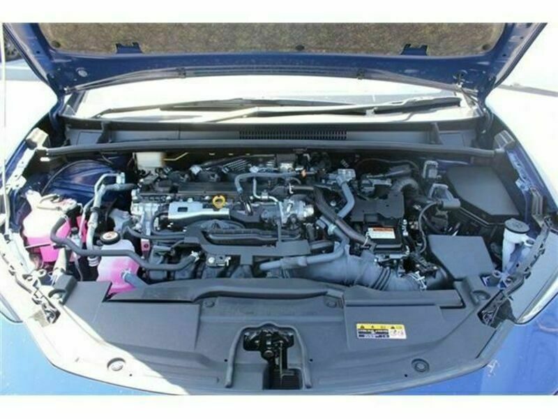 PRIUS-18