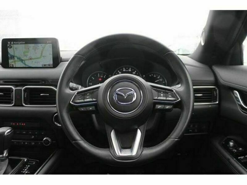 CX-8-15