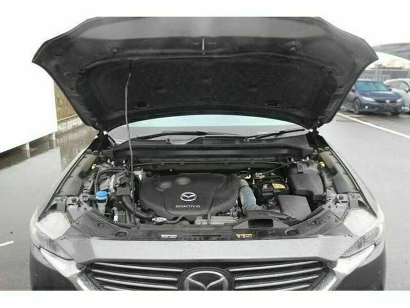 CX-8-21
