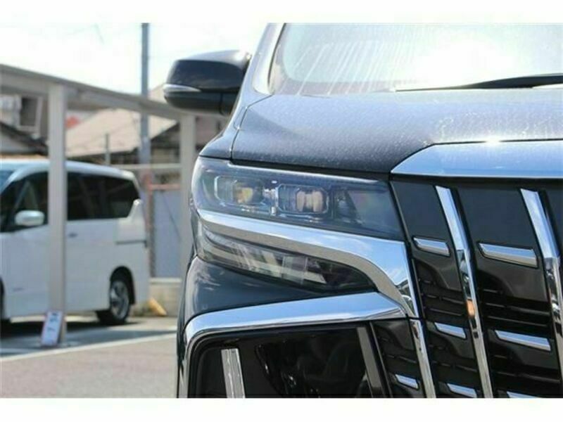ALPHARD-10
