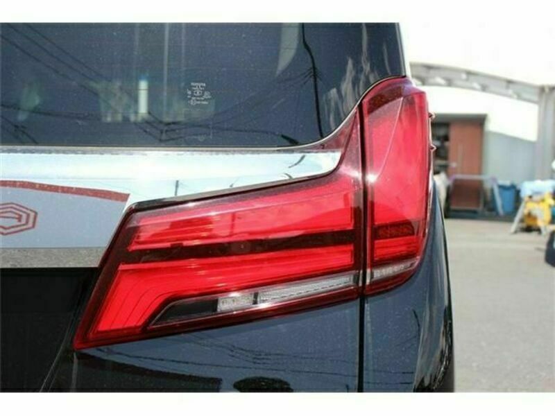 ALPHARD-11