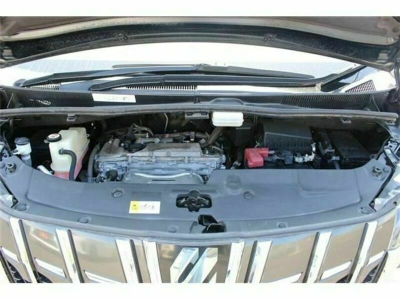 ALPHARD-19