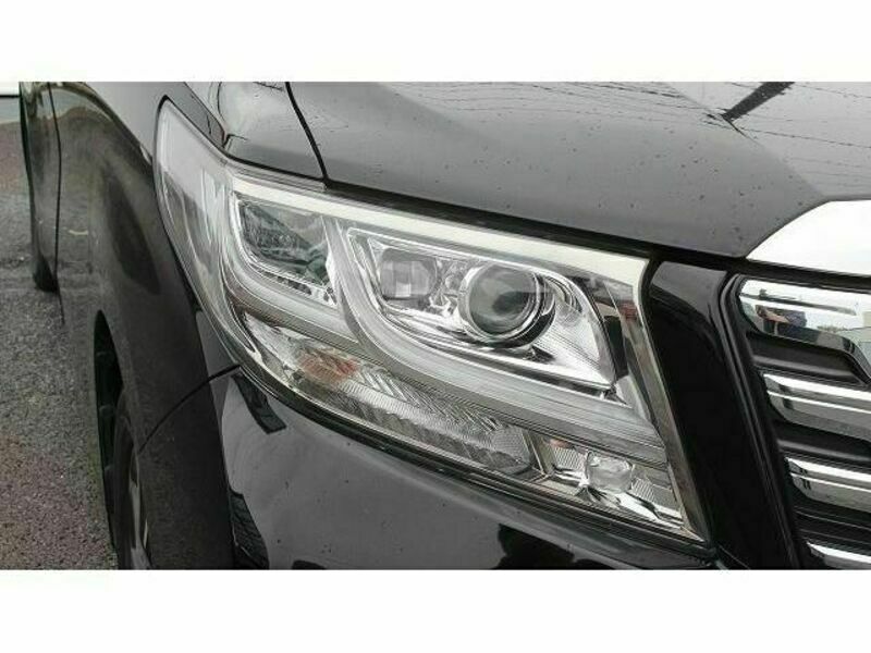 ALPHARD-10