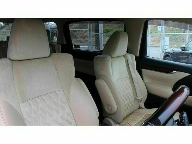 ALPHARD-13