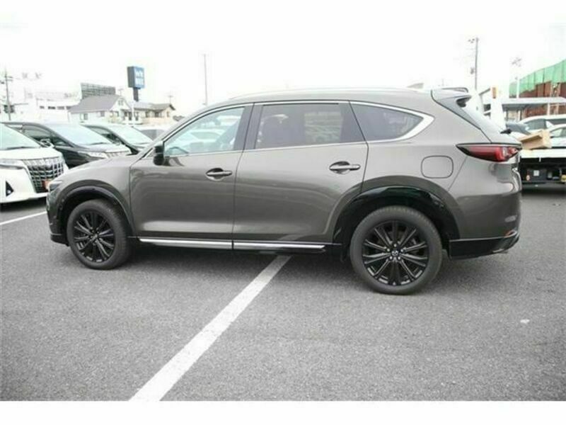 CX-8-8