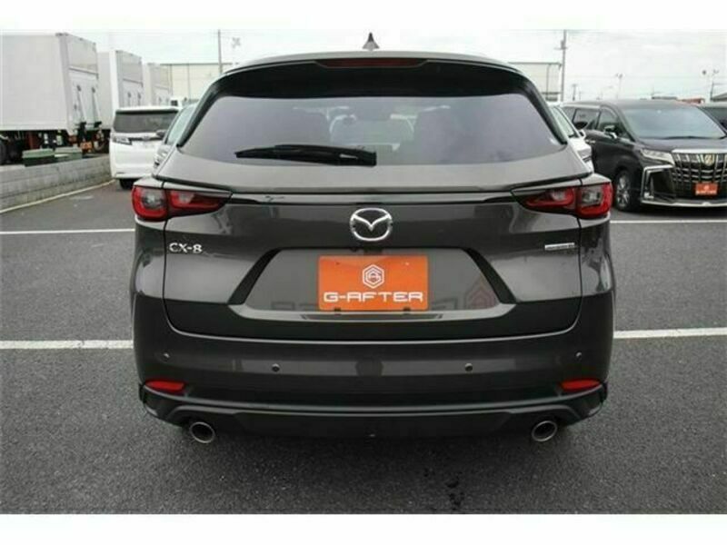 CX-8-9