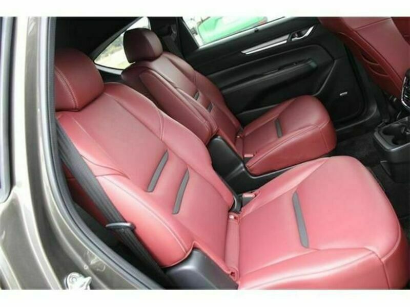CX-8-15