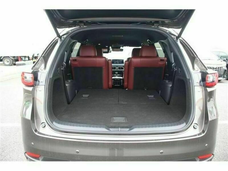CX-8-17
